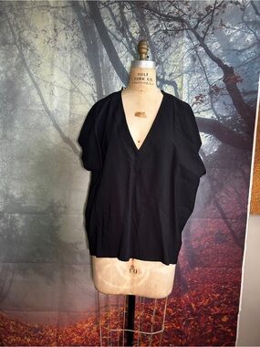 Zara Black V-Neck Short Sleeve Blouse